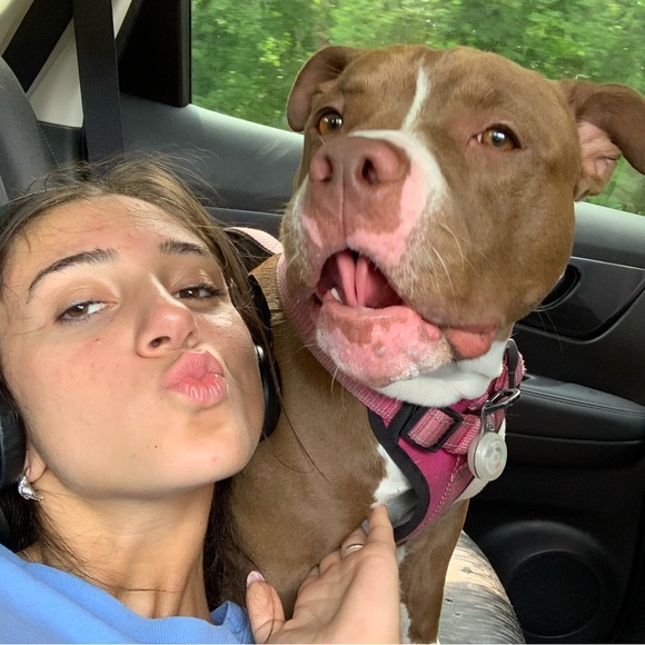 Meet your Posher, Tiana - Picture 3 of 4